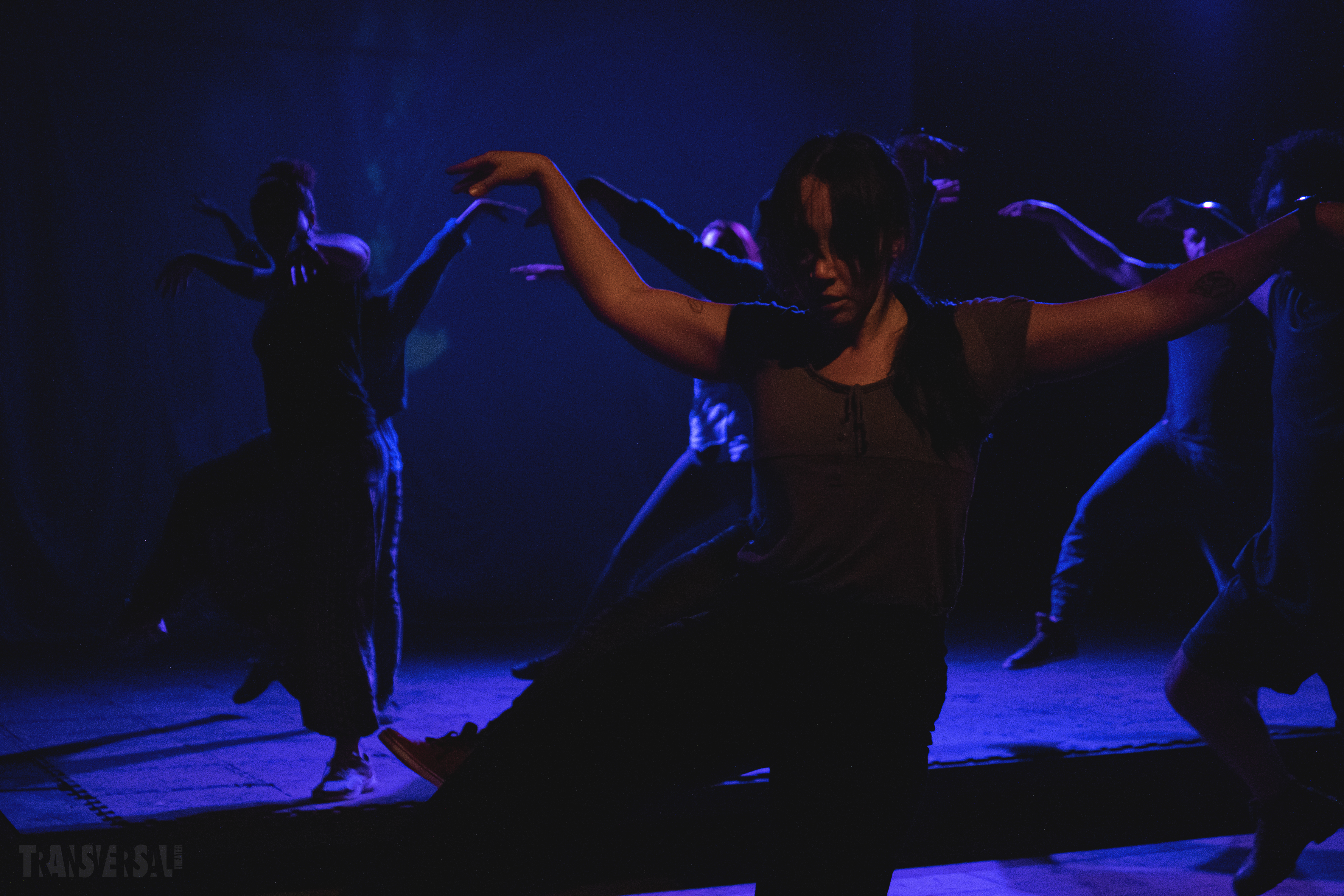 No Erasure | Transversal Theater 2021