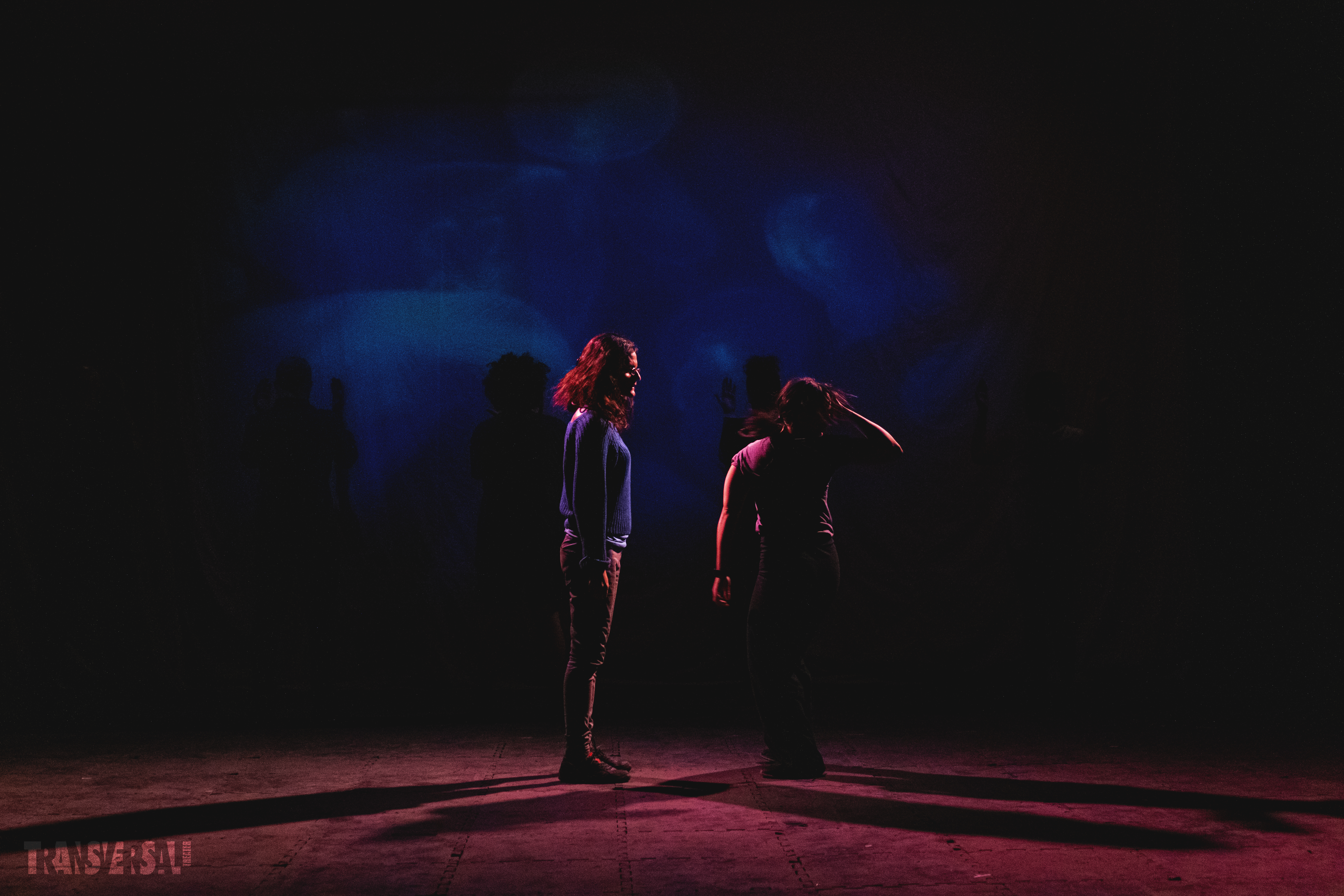 No Erasure | Transversal Theater 2021