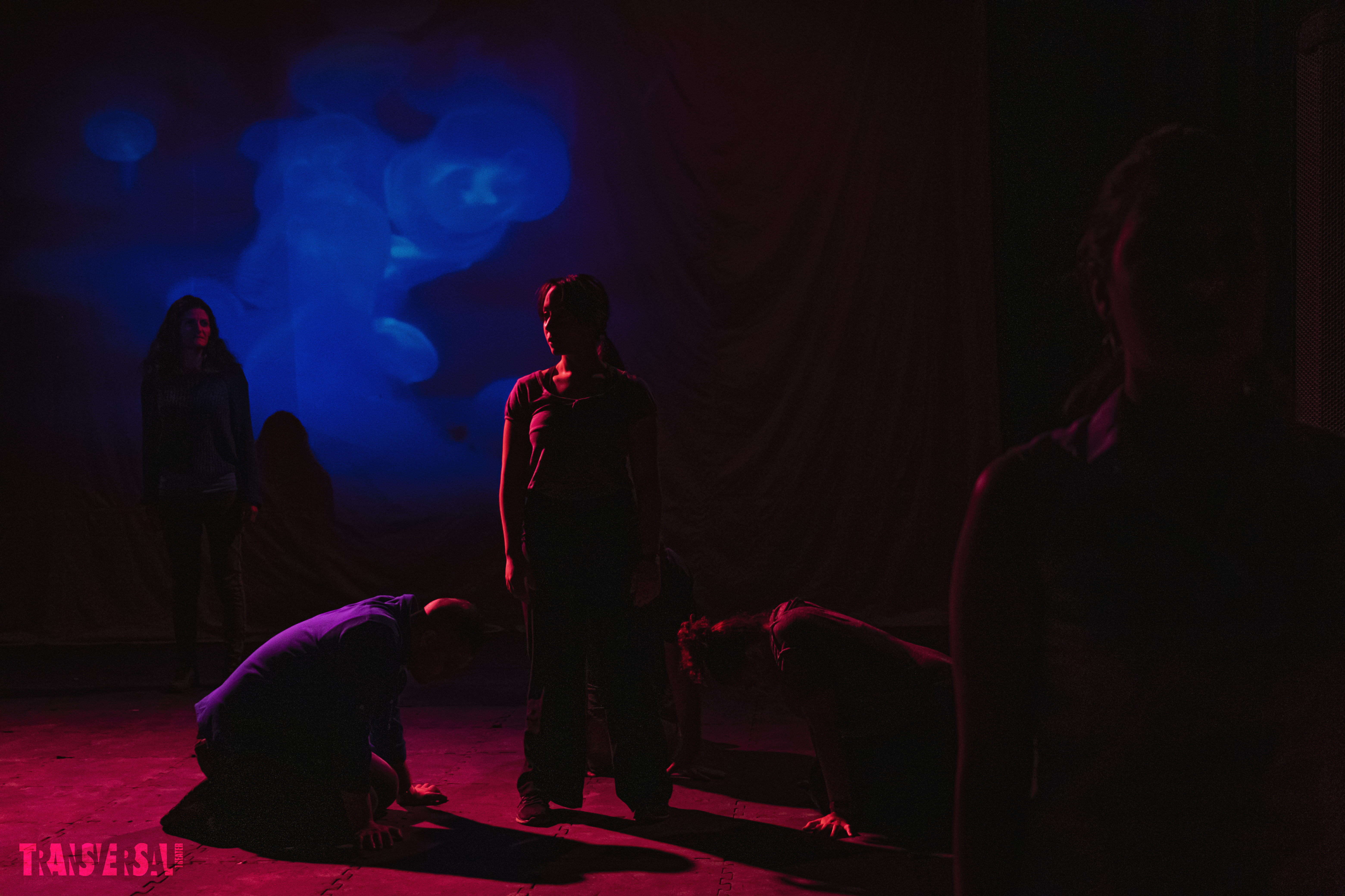 No Erasure | Transversal Theater 2021