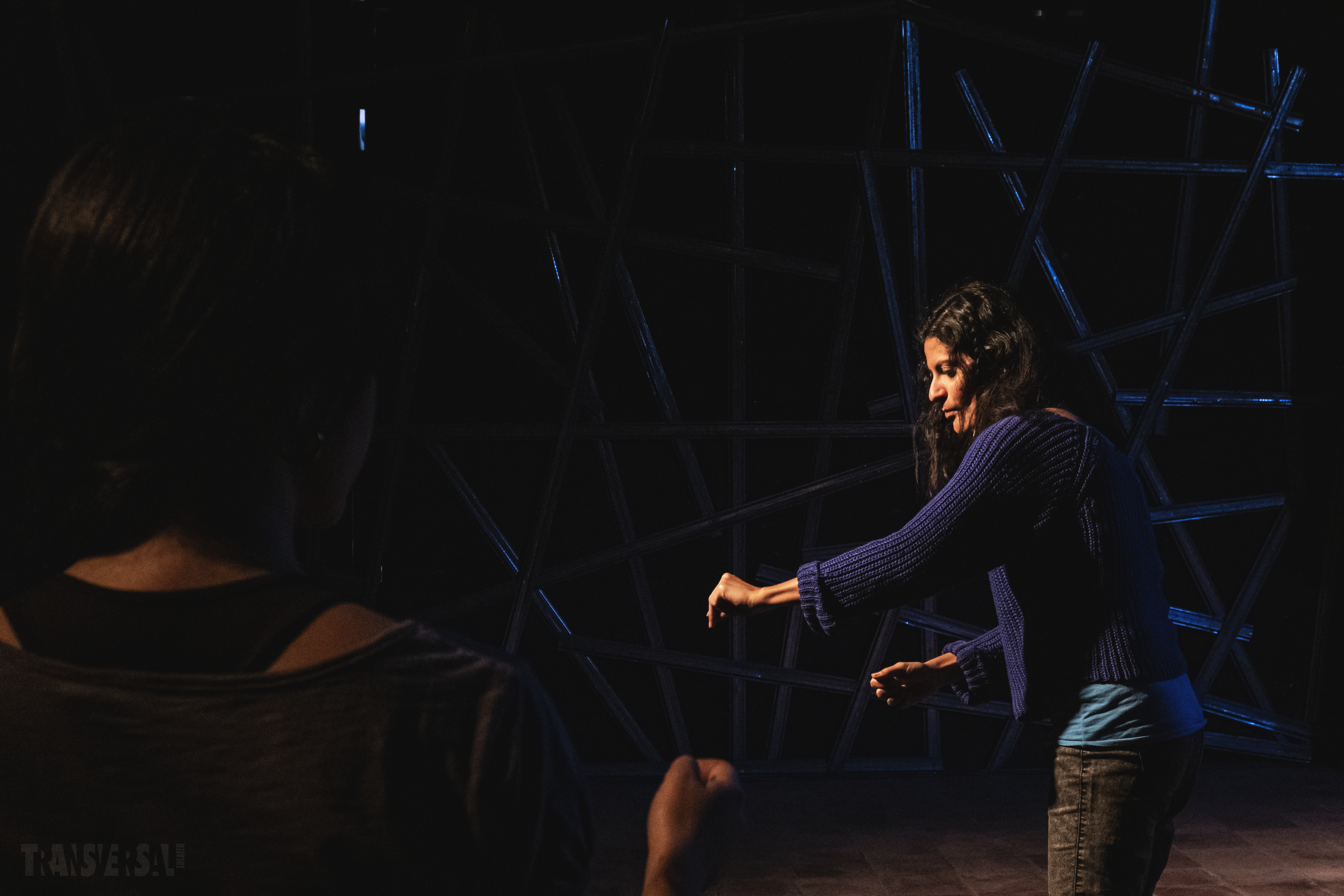 No Erasure | Transversal Theater 2021